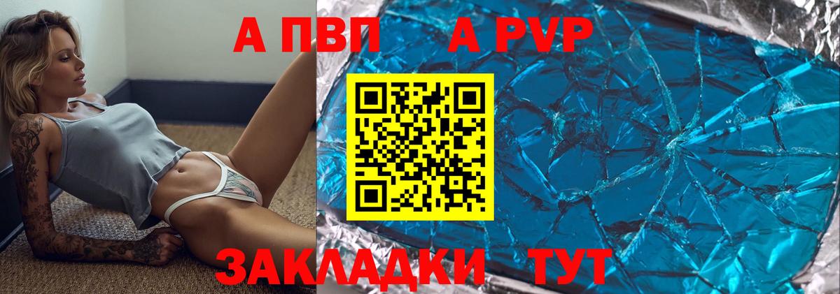 A PVP СК КРИС Саратов